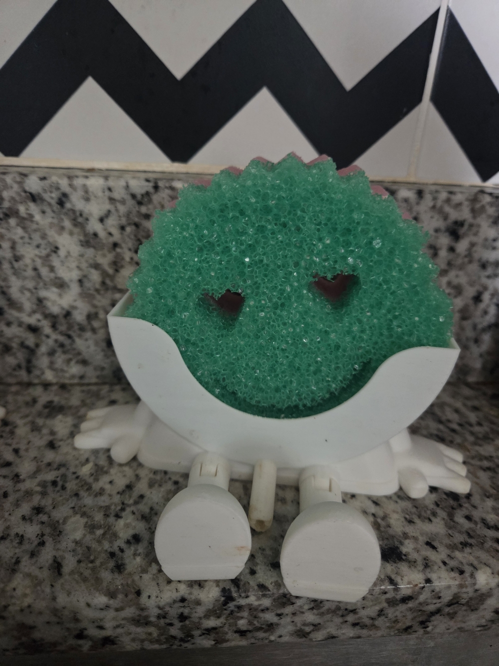 SINK SPONGE AND HOLDER